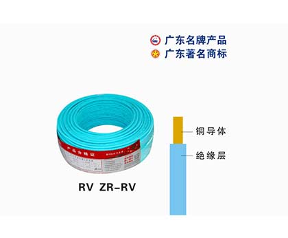 RV ZR-RV齭|